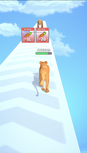 Cat Evolution game