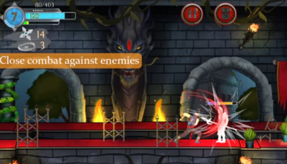 Ninja Dragon mod apk