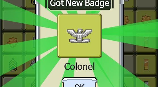 Raising Rank Insignia mod apk