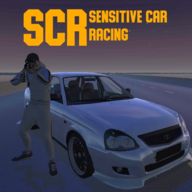 down Sensitive Car Racing apk1.6 Mobile version