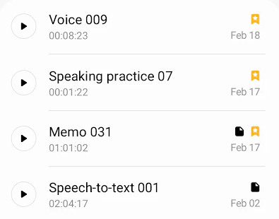 Voice Recorder apk