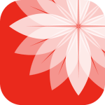 down Gallery Photo Editor mod apk download3.1.0.415 Android version