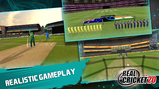 Real Cricket 3D apk