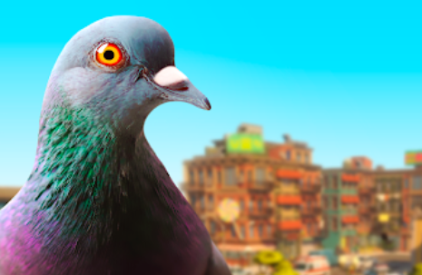 Pigeon simulator apk