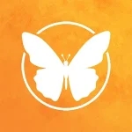 Logofly app1.6.0 Mobile version