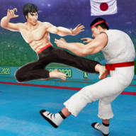 down Karate Fighter mod apk3.5.2 Android