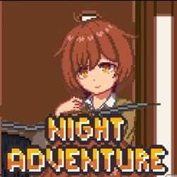 Night Adventure apk1.0 Mobile version