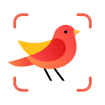 Picture Bird apk2.9.29 Android version